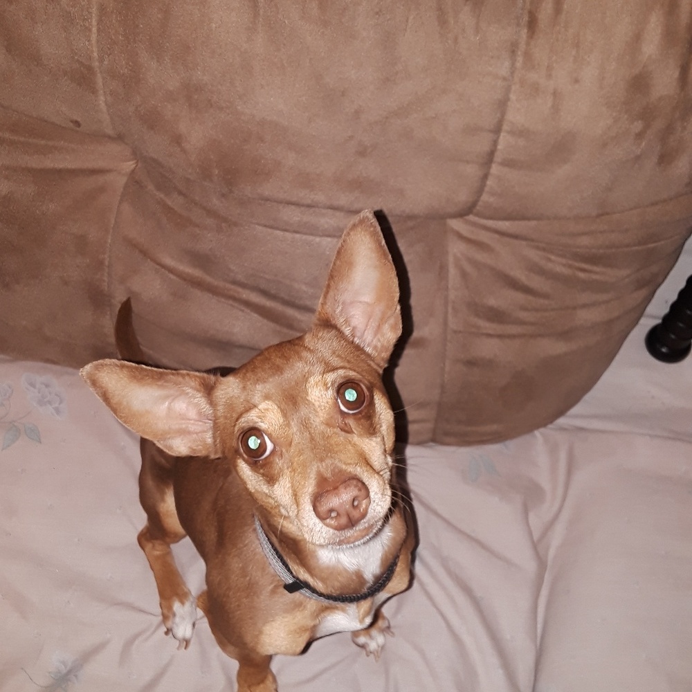 She is priceless. My best friend.